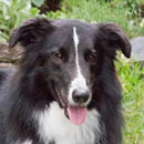Sabre was adopted in December, 2005
